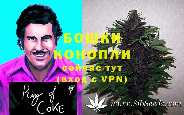 ПСИЛОЦИБИНОВЫЕ ГРИБЫ Надым