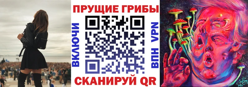 Галлюциногенные грибы GOLDEN TEACHER  Куровское 